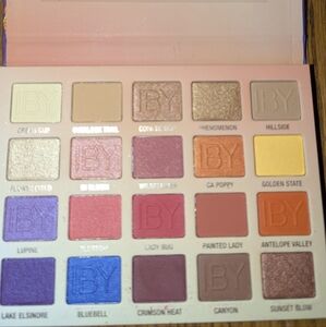 Cream and Gold Eyeshadow Palette with Shimmer and Matte Finishes